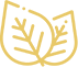 leaf leaf